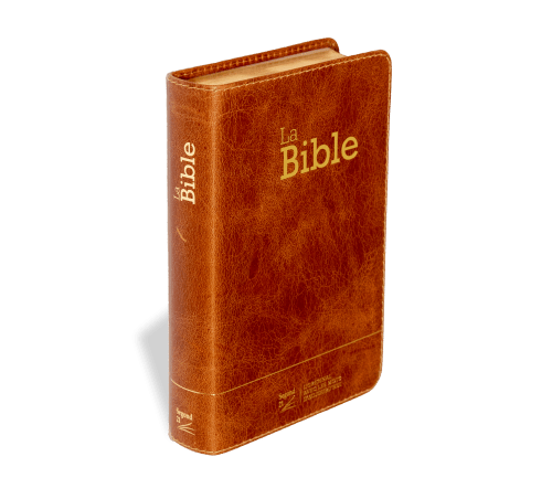 BIBLE SEGOND 21 COMPACTE "PREMIUM STYLE" SEMI-RIGIDE CUIR BRUN AVEC TRANCHES DOREES