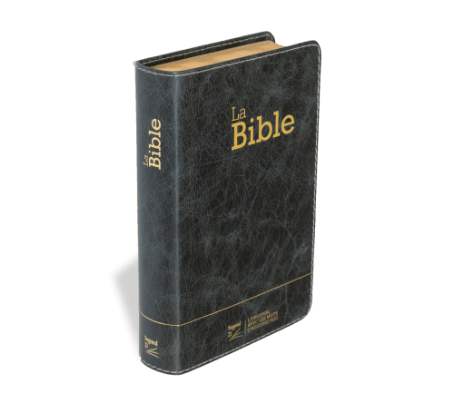BIBLE SEGOND 21 COMPACTE "PREMIUM STYLE" SEMI-RIGIDE CUIR ANTHRACITE AVEC TRANCHES DOREES