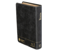 BIBLE SEGOND 21 COMPACTE "PREMIUM STYLE" SEMI-RIGIDE CUIR ANTHRACITE AVEC TRANCHES DOREES