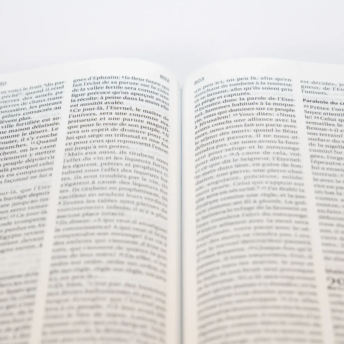BIBLE SEGOND 21 COMPACTE "PREMIUM STYLE" RIGIDE TOILE MATELASSEE MOTIF FLEURI