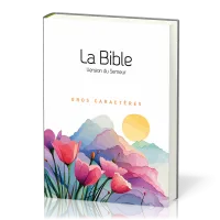 BIBLE SEMEUR 2015 GROS CARACTERES SEMI SOUPLE TEXTILE BLANCHE ILLUSTREE
