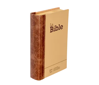BIBLE SEGOND 21 COMPACTE "PREMIUM STYLE" DUO CUIR PRALINE CHOCOLAT - SEMI RIGIDE TRANCHES DOREES