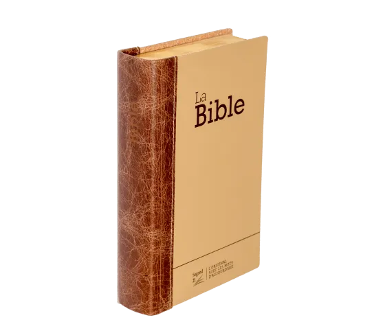 BIBLE SEGOND 21 COMPACTE "PREMIUM STYLE" DUO CUIR PRALINE CHOCOLAT - SEMI RIGIDE TRANCHES DOREES