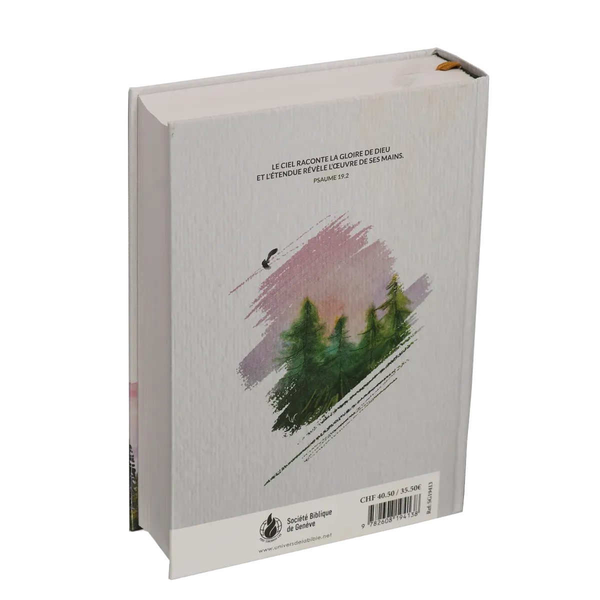 BIBLE SEGOND 21 JOURNAL DE BORD RIGIDE ILLUSTREE CRAYON MONTAGNE FORET