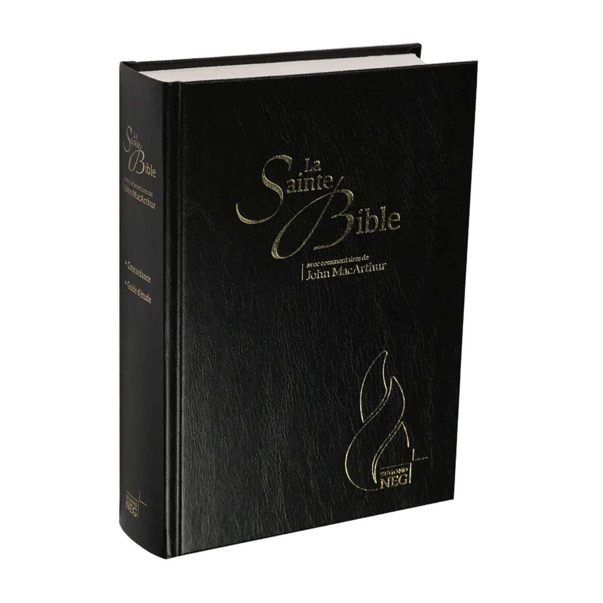 BIBLE NEG MACARTHUR RIGIDE SKYVERTEX NOIR
