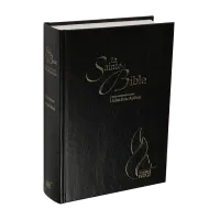 BIBLE NEG MACARTHUR RIGIDE SKYVERTEX NOIR
