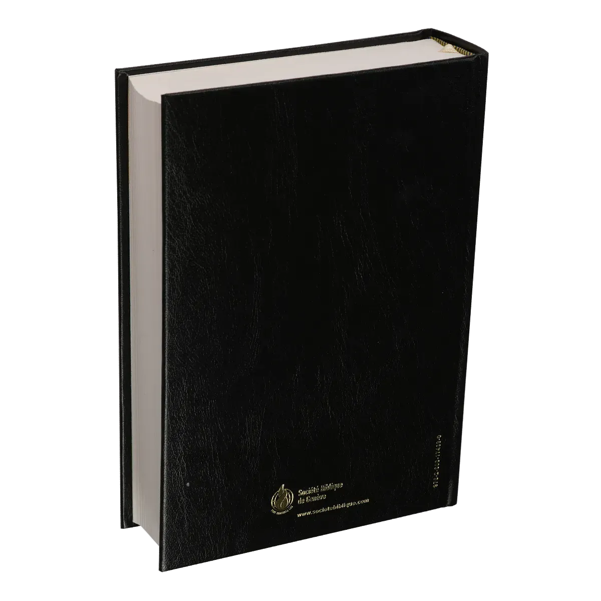 BIBLE NEG MACARTHUR RIGIDE SKYVERTEX NOIR