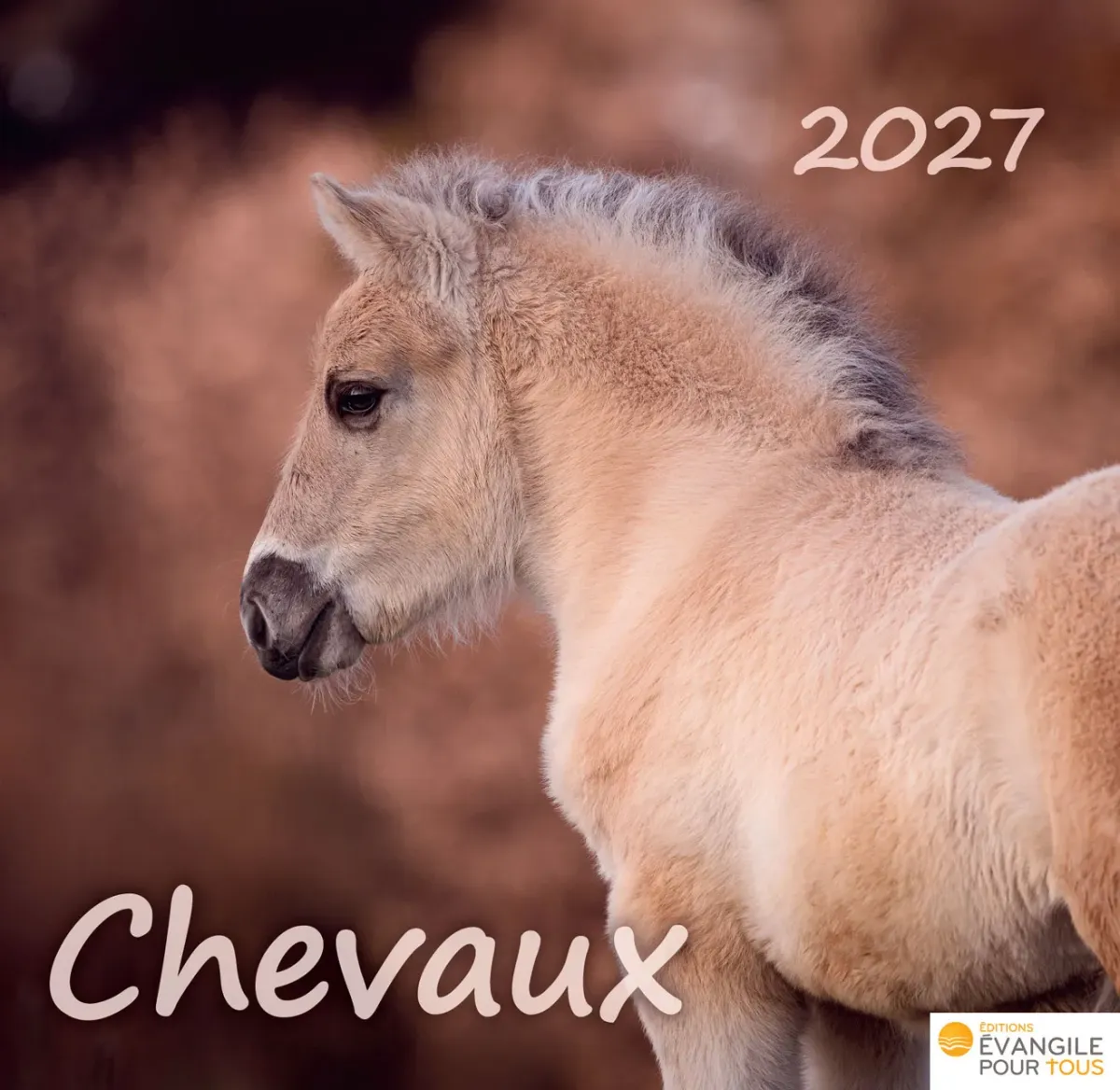 CAL EPT MERVEILLES CHEVAUX