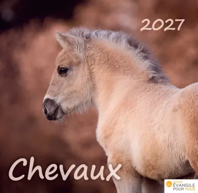 CAL EPT MERVEILLES CHEVAUX