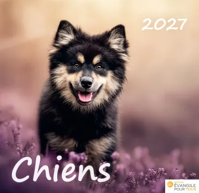 CAL EPT CHIENS