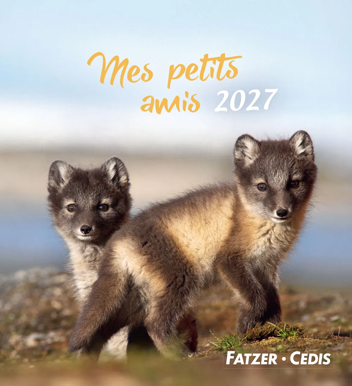 CAL CED MES PETITS AMIS AVEC TEXTES BIBLIQUES