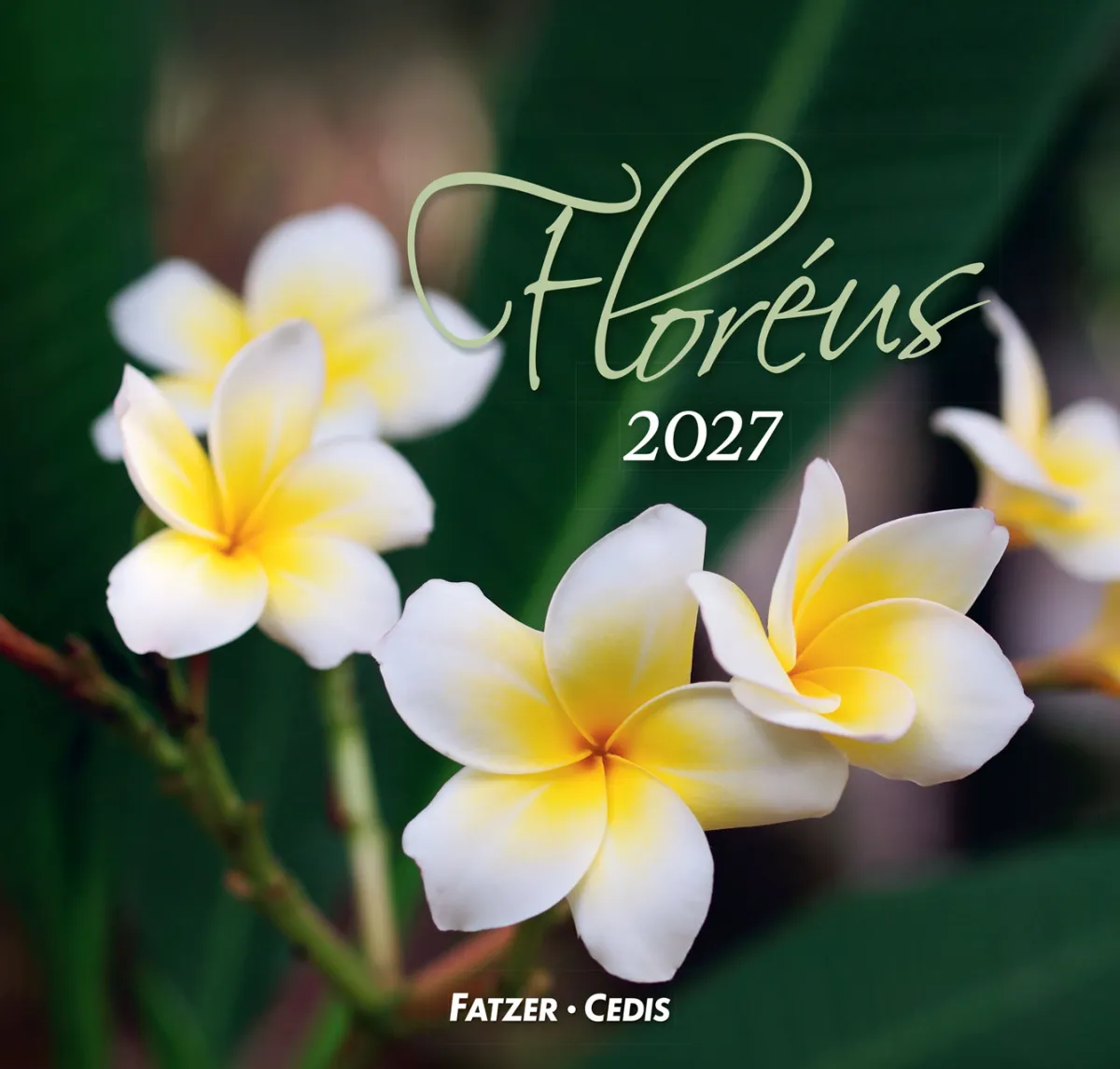 CAL CED FLOREUS GRAND FORMAT