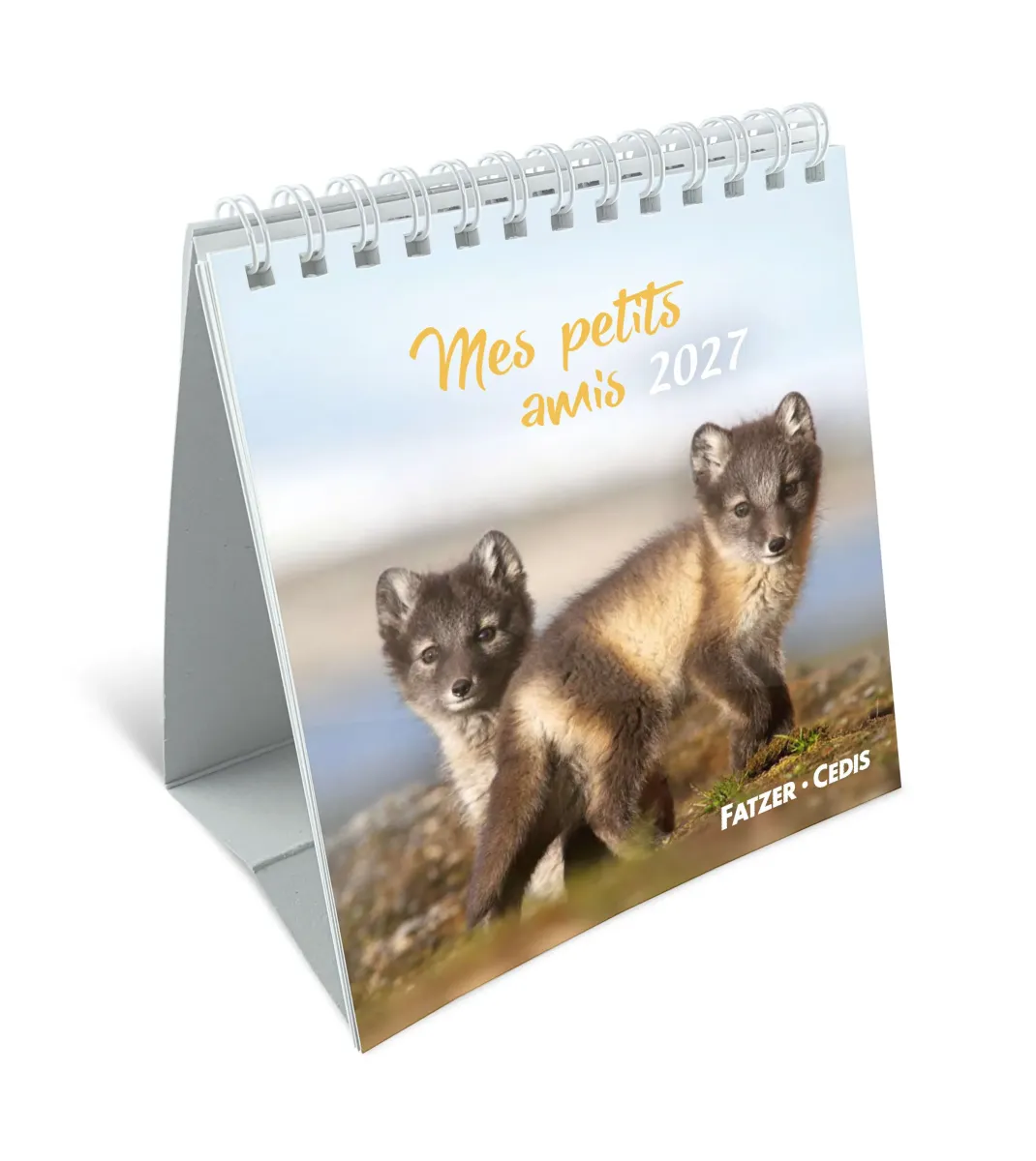 CAL CED MES PETITS AMIS AVEC TEXTES BIBLIQUES