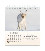 CAL CED MES PETITS AMIS AVEC TEXTES BIBLIQUES