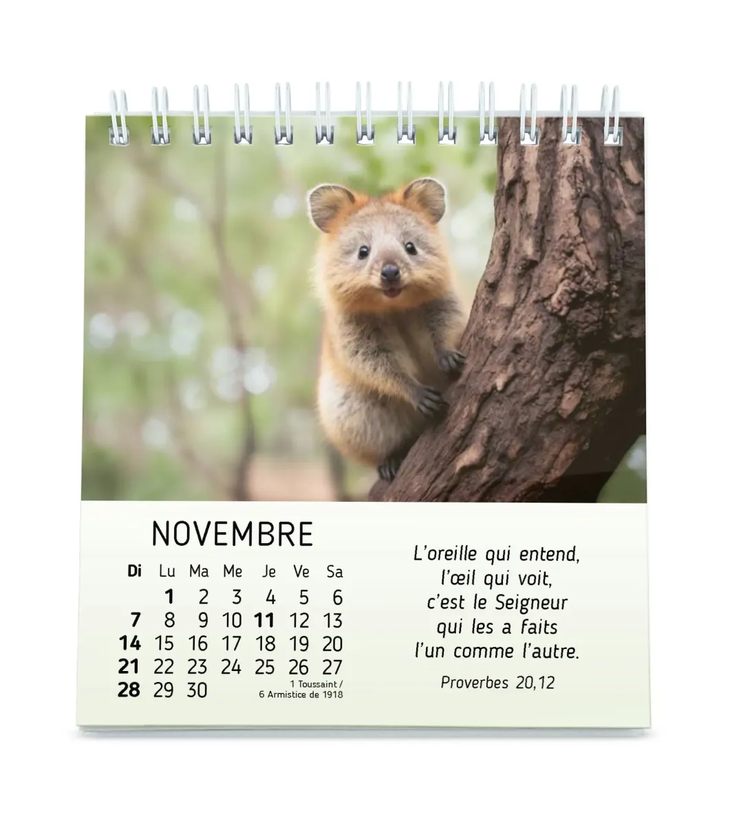CAL CED MES PETITS AMIS AVEC TEXTES BIBLIQUES