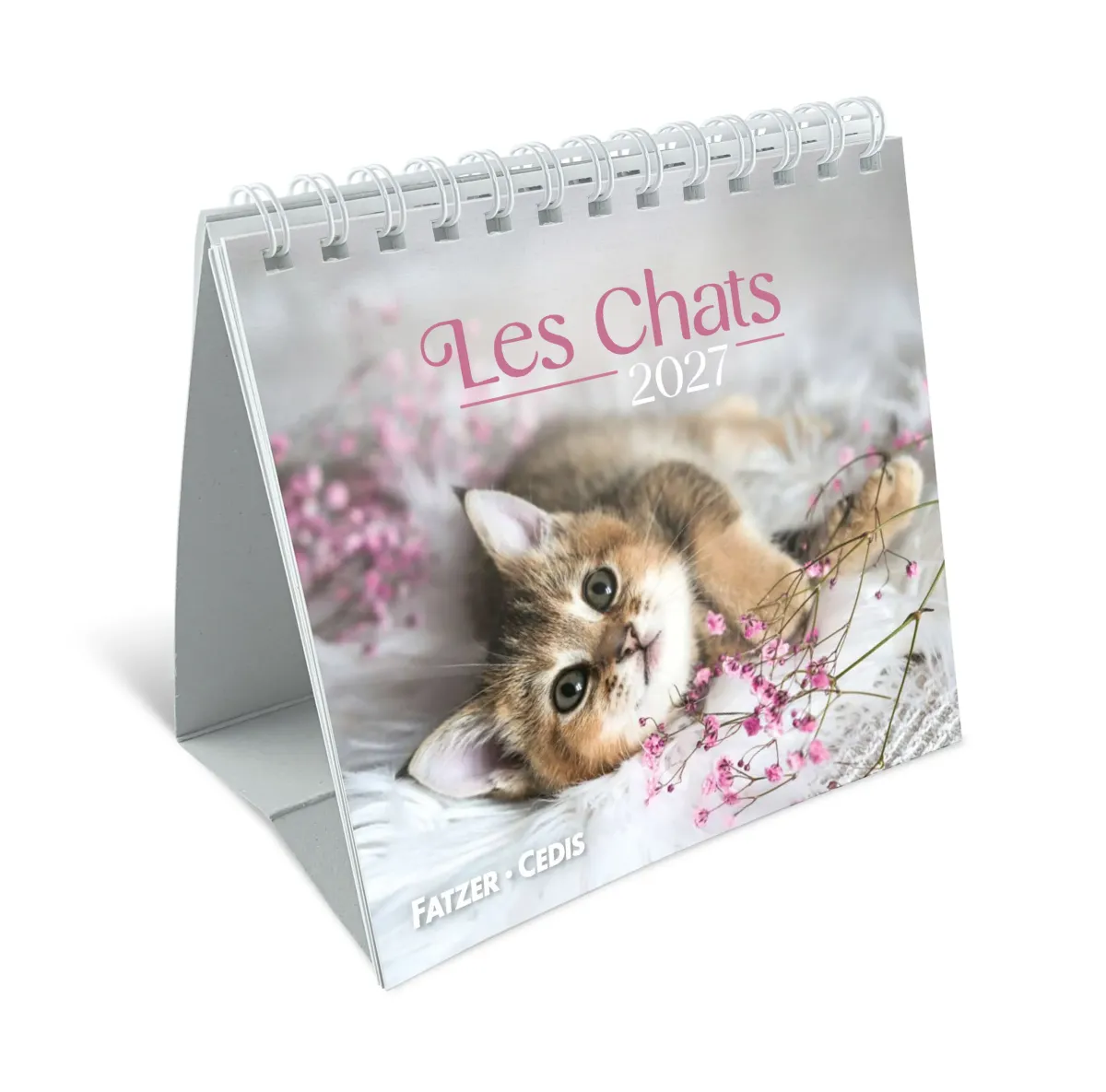 CAL CED NOS AMIS LES CHATS