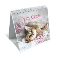 CAL CED NOS AMIS LES CHATS