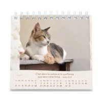 CAL CED NOS AMIS LES CHATS
