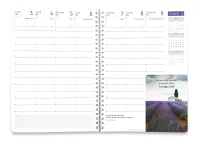 CAL CED AGENDA LIBERTE