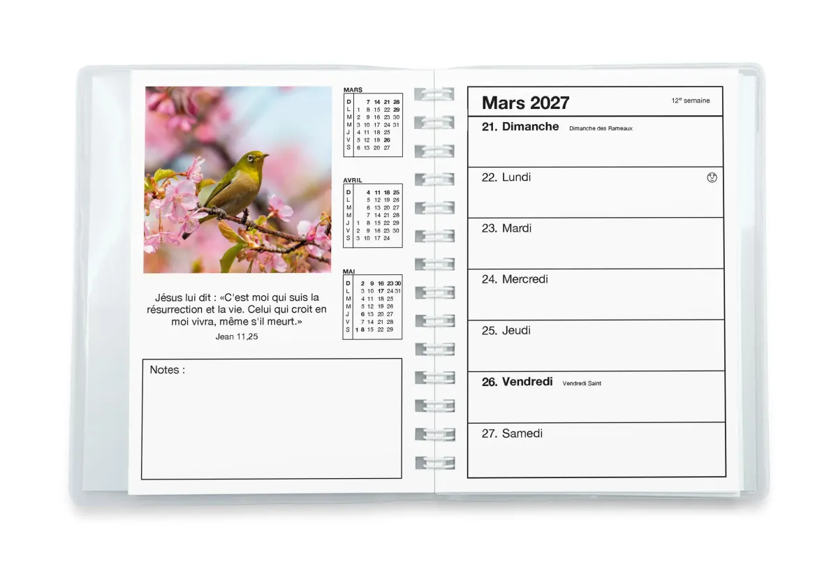 CAL CED AGENDA COLOR