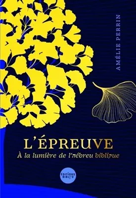 EPREUVE (L') - A LA LUMIERE DE L'HEBREU BIBLIQUE