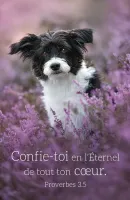 CAL EPT CARTE CHIEN