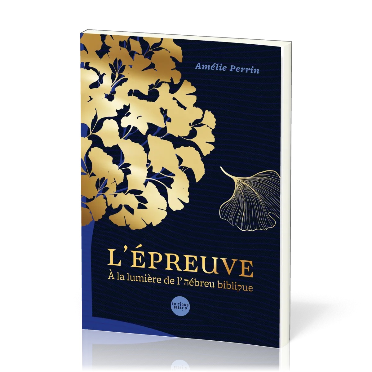 EPREUVE (L') - A LA LUMIERE DE L'HEBREU BIBLIQUE