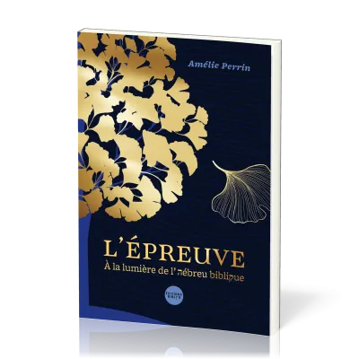EPREUVE (L') - A LA LUMIERE DE L'HEBREU BIBLIQUE