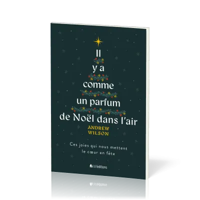 IL Y A COMME UN PARFUM DE NOEL DANS L'AIR - CES JOIES QUI NOUS METTENT LE COEUR EN FETE