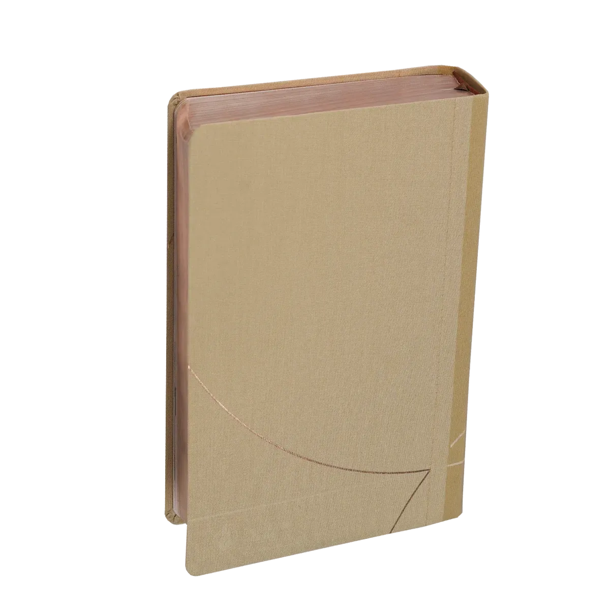 BIBLE SEGOND 21 VIE NOUVELLE SOUPLE TOILE BEIGE ET TRANCHES DOREES ROSES