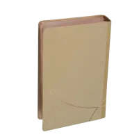 BIBLE SEGOND 21 VIE NOUVELLE SOUPLE TOILE BEIGE ET TRANCHES DOREES ROSES