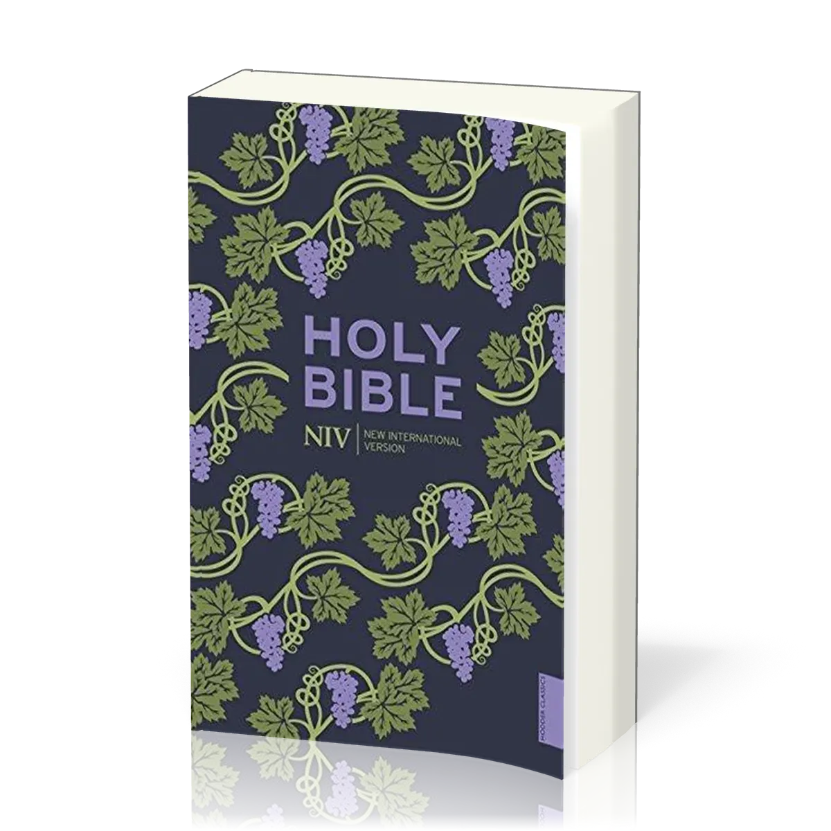 ANGLAIS BIBLE NIV HOLY BIBLE