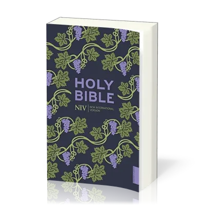 ANGLAIS BIBLE NIV HOLY BIBLE