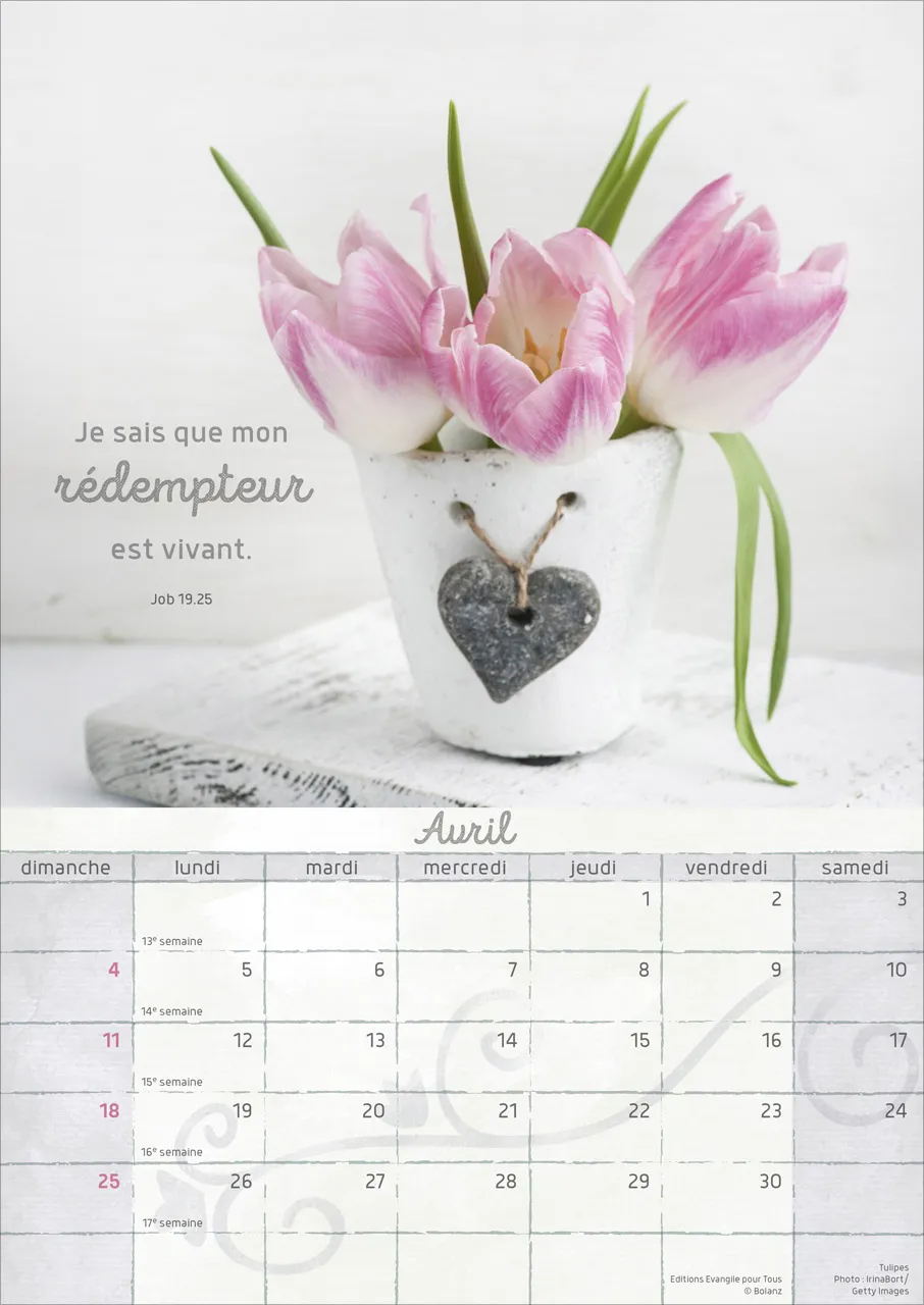 CAL EPT MOMENTS DE JOIE