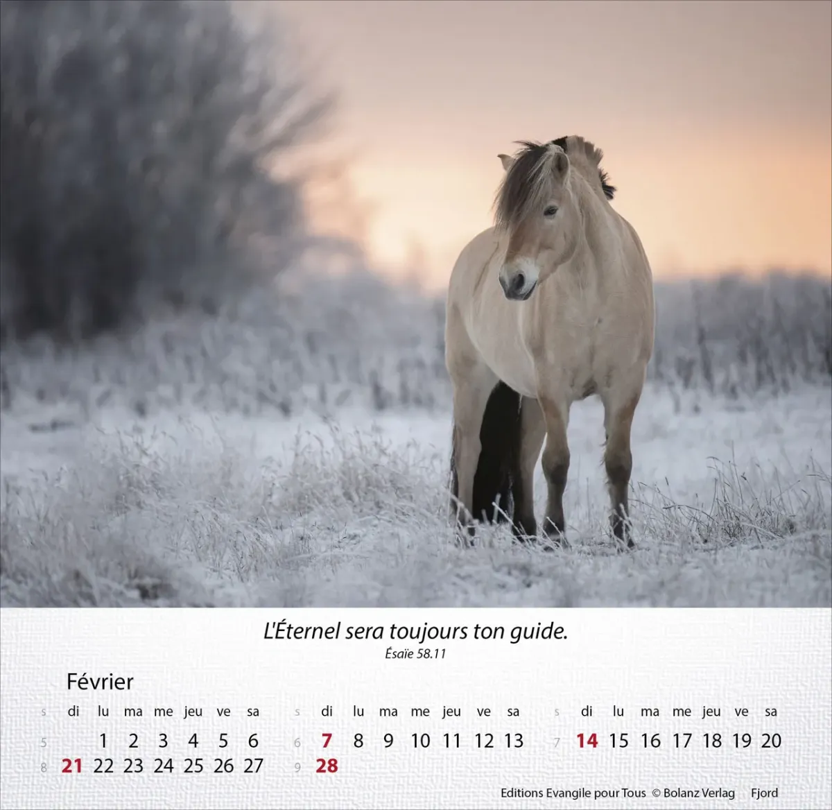 CAL EPT MERVEILLES CHEVAUX
