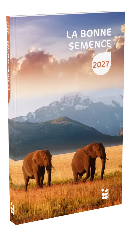 CAL BS FRANCAIS LIVRE POCHE BROCHE