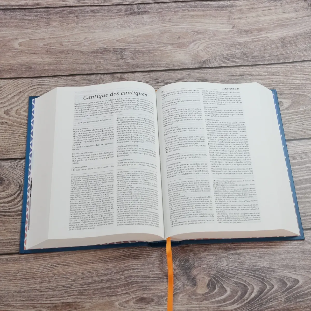 BIBLE SEGOND 21 REFERENCE RIGIDE BLEU
