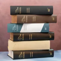 BIBLE NEG MACARTHUR RIGIDE SKYVERTEX NOIR