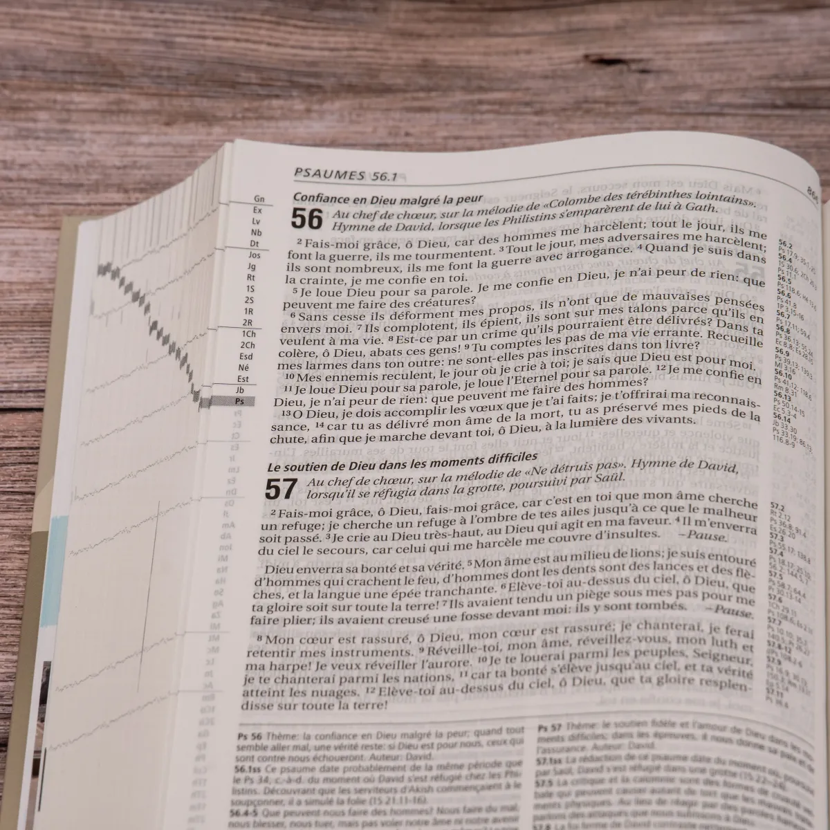 BIBLE SEGOND 21 VIE NOUVELLE RIGIDE ILLUSTREE