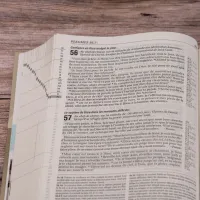 BIBLE SEGOND 21 VIE NOUVELLE RIGIDE ILLUSTREE
