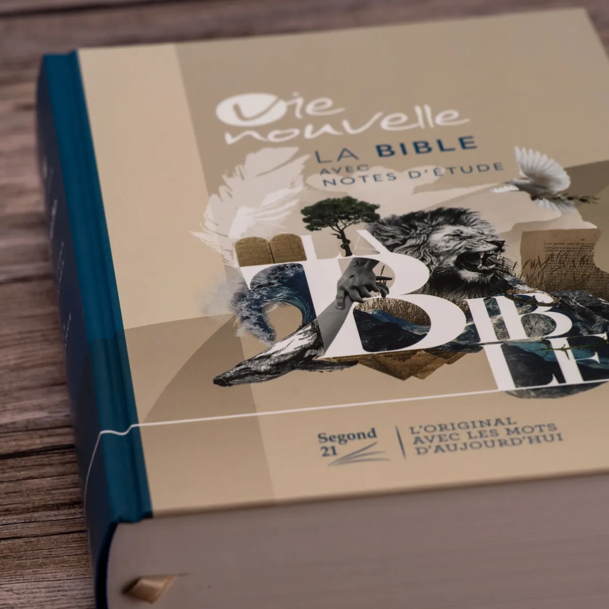 BIBLE SEGOND 21 VIE NOUVELLE RIGIDE ILLUSTREE