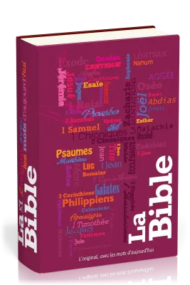 BIBLE SEGOND 21 COMPACTE SEMI RIGIDE ILLUSTREE TYPO
