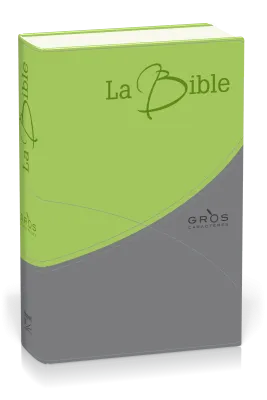 BIBLE GROS CARACTERES SEGOND 21 SOUPLE DUO VERT-GRIS SG12548