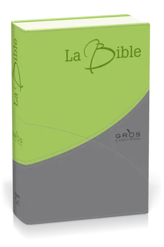BIBLE GROS CARACTERES SEGOND 21 SOUPLE DUO VERT-GRIS SG12548