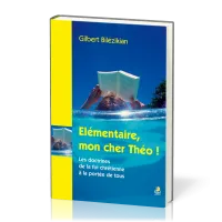 ELEMENTAIRE MON CHER THEO!