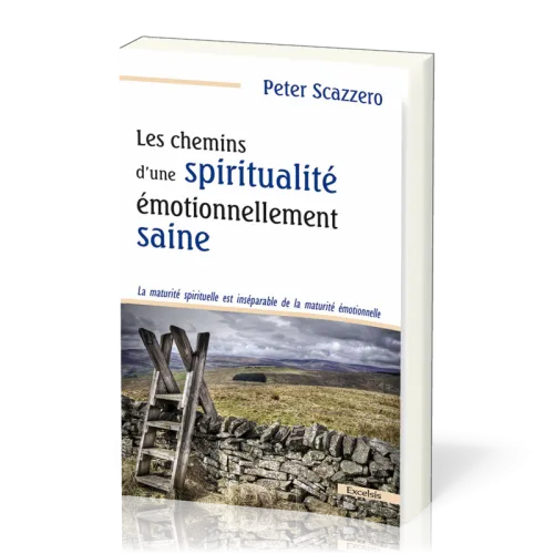 CHEMINS D’UNE SPIRITUALITE EMOTIONNELLEMNT SAINE (LES)