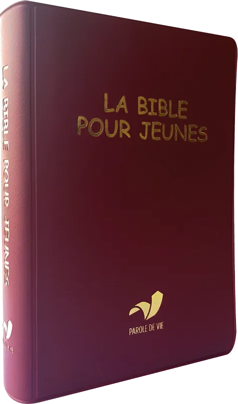 BIBLE POUR JEUNES PAROLE DE VIE BORDEAUX - AVEC LES DEUTERO SB1094