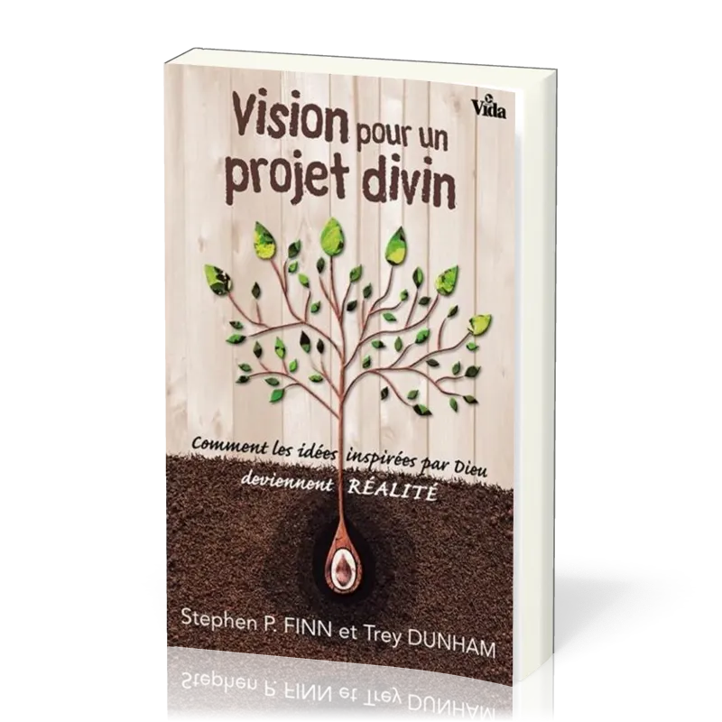 VISION POUR UN PROJER DIVIN
