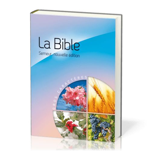 BIBLE SEMEUR 2015 GROS CARACTERES RIGIDE BLEUE ET ROSE ILLUSTREE