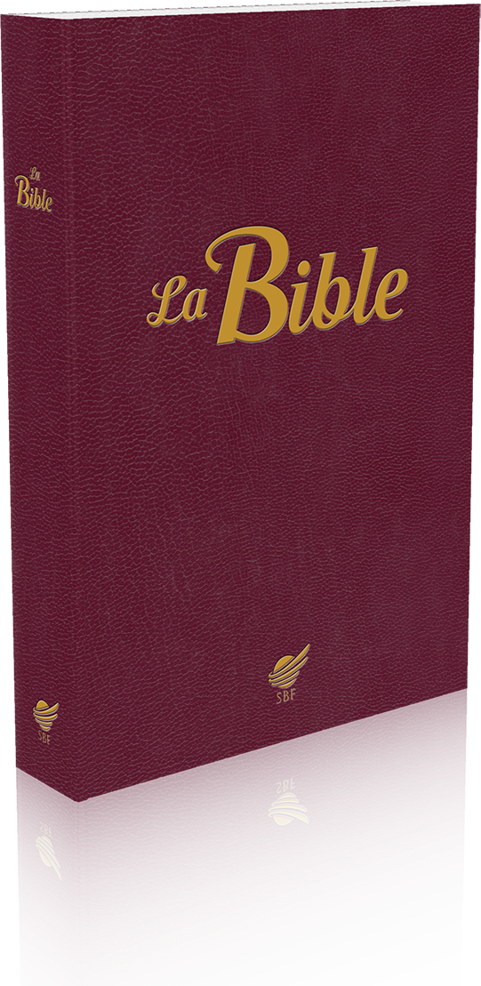 BIBLE SEGOND 1910  SOUPLE GRENAT - PAROLES DE JESUS EN ROUGE